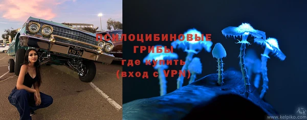 крисы Арсеньев