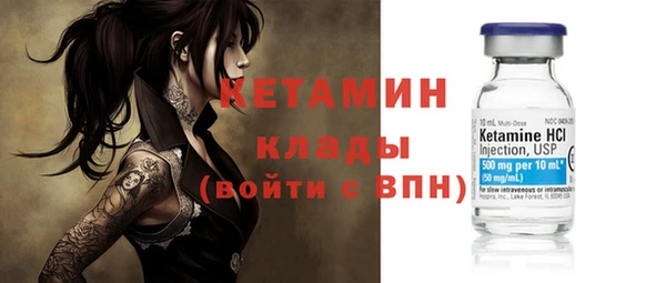 шишки Аркадак