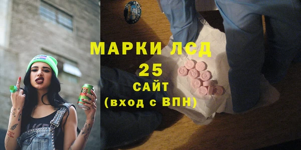 шишки Аркадак