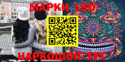 шишки Усть-Илимск