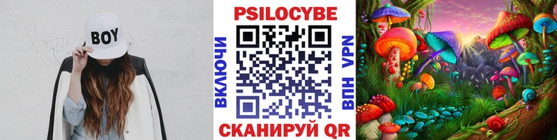 Галлюциногенные грибы MAGIC MUSHROOMS Рубцовск