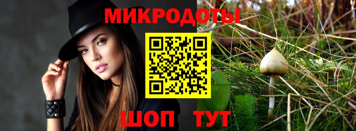 Галлюциногенные грибы Psilocybe Рубцовск
